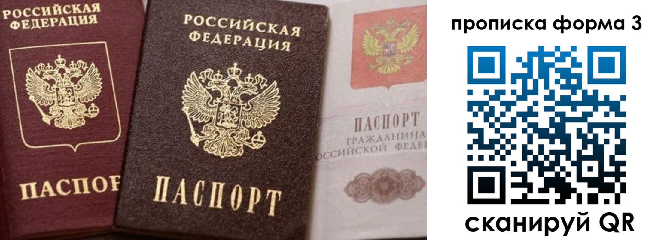 прописка гарантия в Калининграде